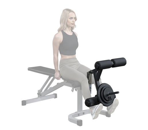 Body-Solid GLDA1 Leg Developer Bench Attachment