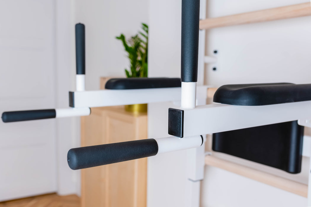 BenchK 222 Wall Bars with Pull-up Bar & Dip Bar