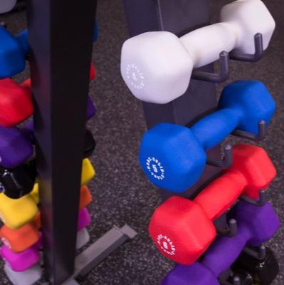 Body-Solid GDR24-VPACK Vinyl Dumbbell Rack Package