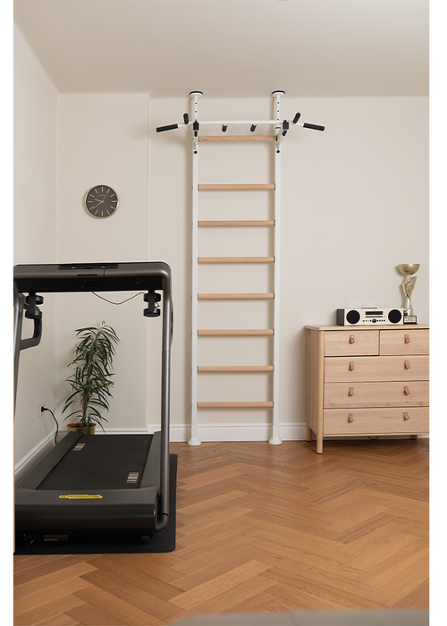 BenchK 521 Wall Bars with Pull-up Bar