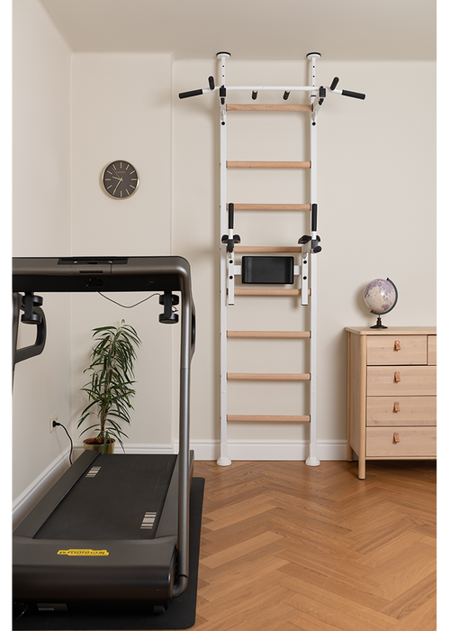 BenchK 522 Wall Bars with Pull-up Bar & Dip Bar