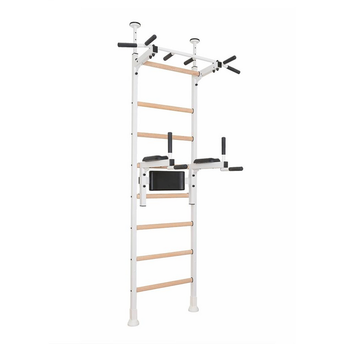 BenchK 522 Wall Bars with Pull-up Bar & Dip Bar