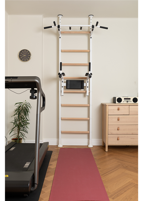 BenchK 522 Wall Bars with Pull-up Bar & Dip Bar